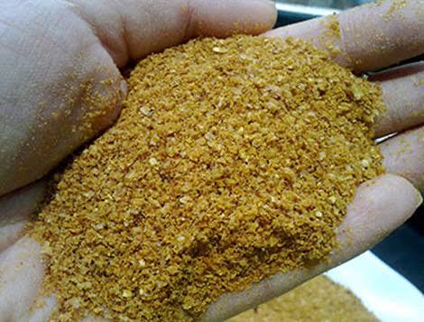 Corn Gluten Feed CGF